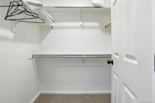 488 Black Feather Loop, Castle Rock, CO 80104 - Photo 24