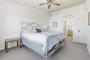 488 Black Feather Loop, Castle Rock, CO 80104 - Photo 20