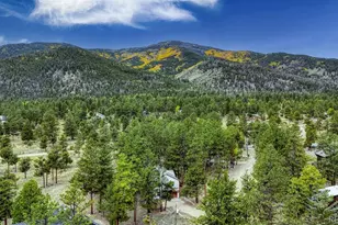 18525 Via Ponderosa Dr, Buena Vista, CO 81211 - Photo 12