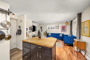 1355 Gaylord Street, Denver, CO 80206 - Photo 1
