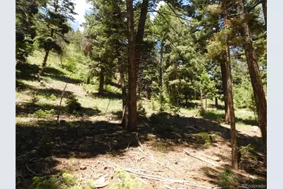 13524 Woodmoor West Drive, Larkspur, CO 80118 - Photo 14