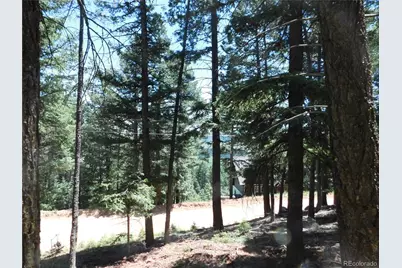 13524 Woodmoor West Drive, Larkspur, CO 80118 - Photo 20