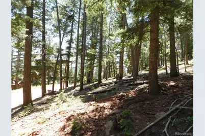 13524 Woodmoor West Drive, Larkspur, CO 80118 - Photo 16