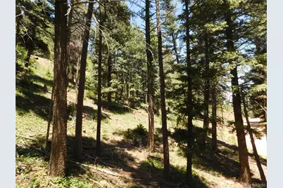 13524 Woodmoor West Drive, Larkspur, CO 80118 - Photo 18