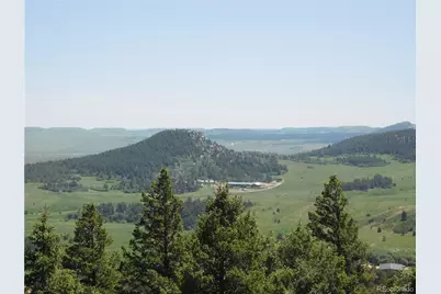 13524 Woodmoor West Drive, Larkspur, CO 80118 - Photo 28
