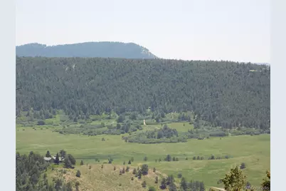 13524 Woodmoor West Drive, Larkspur, CO 80118 - Photo 38