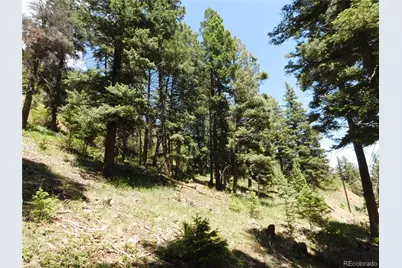 13524 Woodmoor West Drive, Larkspur, CO 80118 - Photo 24