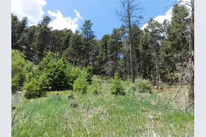 13524 Woodmoor West Drive, Larkspur, CO 80118 - Photo 10