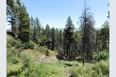 13524 Woodmoor West Drive, Larkspur, CO 80118 - Photo 44