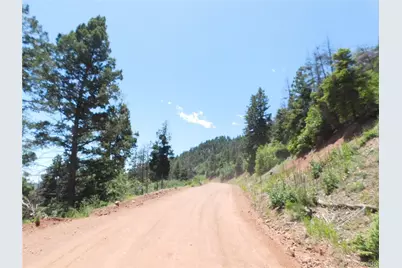 13524 Woodmoor West Drive, Larkspur, CO 80118 - Photo 40
