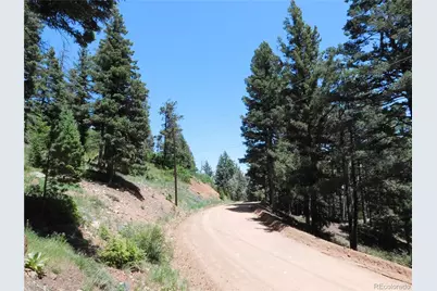 13524 Woodmoor West Drive, Larkspur, CO 80118 - Photo 26