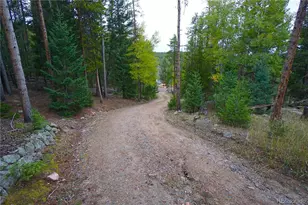 6842 Snowshoe Trail, Evergreen, CO 80439 - Photo 10