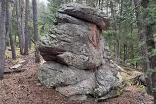 6842 Snowshoe Trail, Evergreen, CO 80439 - Photo 40