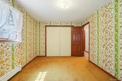 203 9th Street, Georgetown, CO 80444 - Photo 40