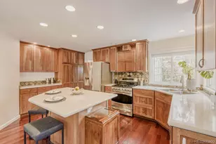 2003 Chesapeake Ln, Highlands Ranch, CO 80126 - Photo 12