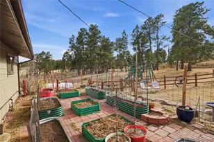 24597 Stanley Park Rd, Evergreen, CO 80439 - Photo 6