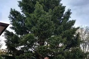 10642 Larson Dr, Northglenn, CO 80233 - Photo 30