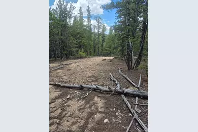 1900 County Road 128J, Nederland, CO 80466 - Photo 14