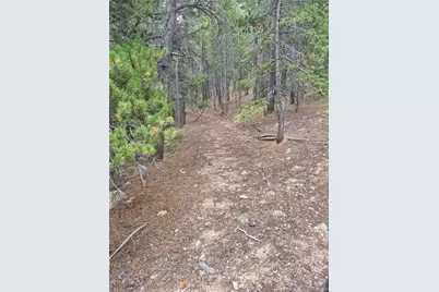 1900 County Road 128J, Nederland, CO 80466 - Photo 16