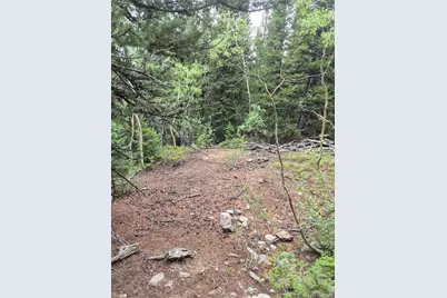 1900 County Road 128J, Nederland, CO 80466 - Photo 4