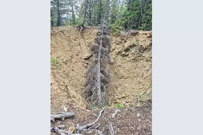 1900 County Road 128J, Nederland, CO 80466 - Photo 6