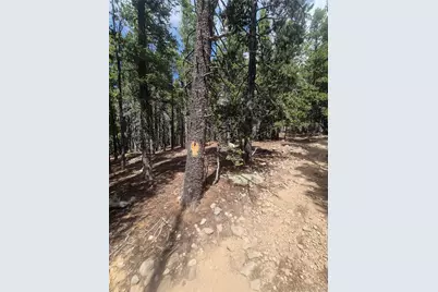 1900 County Road 128J, Nederland, CO 80466 - Photo 10