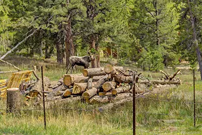 26 Howe Court, Black Hawk, CO 80422 - Photo 48