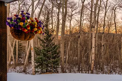 2150 Michigan Hill Rd, Jefferson, CO 80456 - Photo 34