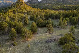 13101 N County Rd 73C, Red Feather Lakes, CO 80545 - Photo 28