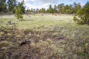 13101 N County Rd 73C, Red Feather Lakes, CO 80545 - Photo 32