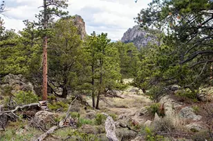 13101 N County Rd 73C, Red Feather Lakes, CO 80545 - Photo 36