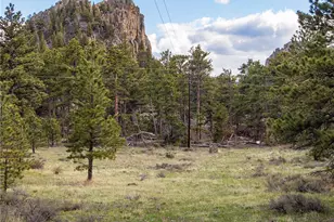 13101 N County Rd 73C, Red Feather Lakes, CO 80545 - Photo 30