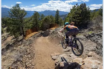 139 County Road 308, Dumont, CO 80436 - Photo 46