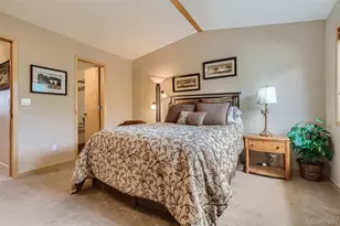 736 Meadow Creek Dr, Frisco, CO 80443 - Photo 12