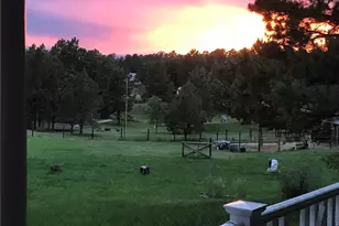 9238 Piney Creek Rd, Parker, CO 80138 - Photo 50