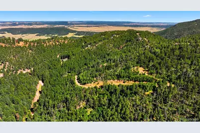 13464 S Firedog Way, Larkspur, CO 80118 - Photo 4
