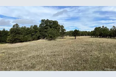 9040 Walker Road, Colorado Springs, CO 80908 - Photo 10