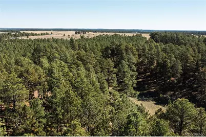 9040 Walker Road, Colorado Springs, CO 80908 - Photo 4