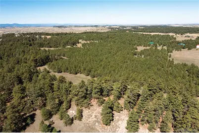 9040 Walker Road, Colorado Springs, CO 80908 - Photo 6