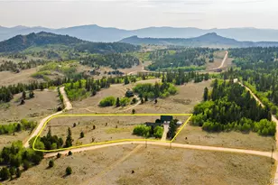 486 Turk Pony Way, Como, CO 80456 - Photo 2