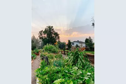 9221 Pierce Street, Broomfield, CO 80021 - Photo 42