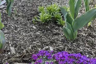 2430 S Fundy Cir, Aurora, CO 80013 - Photo 30