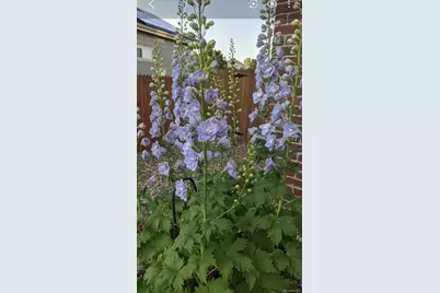 2430 S Fundy Circle, Aurora, CO 80013 - Photo 36