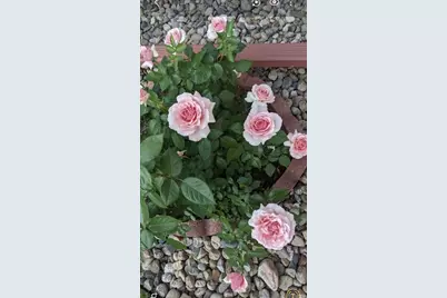 2430 S Fundy Circle, Aurora, CO 80013 - Photo 34