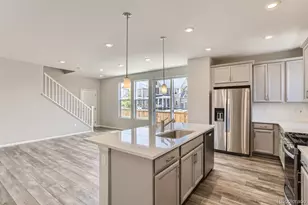 6302 N Fulton St, Denver, CO 80238 - Photo 8