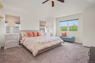 3425 Morning Song Ct, Castle Rock, CO 80109 - Photo 14