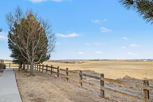 2501 Cutters Cir, Castle Rock, CO 80108 - Photo 22