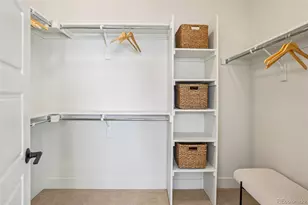 2867 S Pancratia St, Denver, CO 80236 - Photo 4