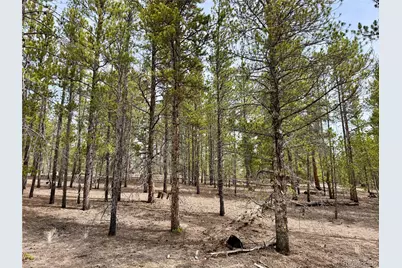 360 Peak View Drive, Leadville, CO 80461 - Photo 8