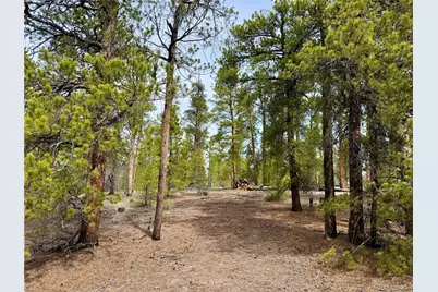 360 Peak View Drive, Leadville, CO 80461 - Photo 14